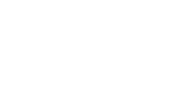Ethical Consultancy Group